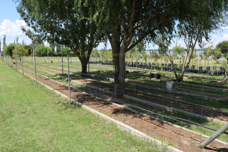 Commercial Property for Sale in Metsimaholo Free State